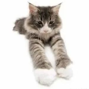 Meet your Posher, Posh